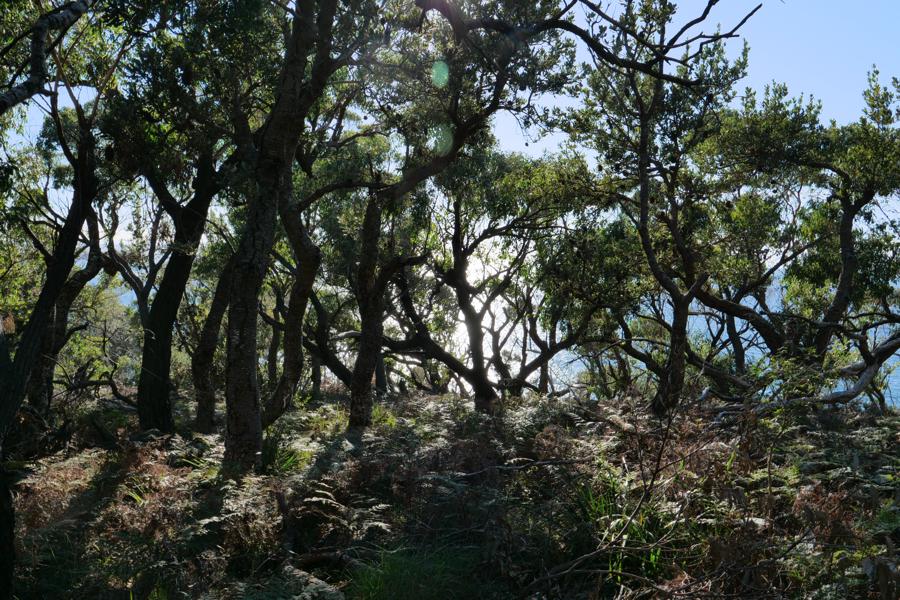 9Km - Guerilla Bay